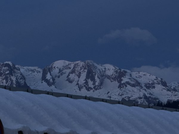 IMG_0554.jpg