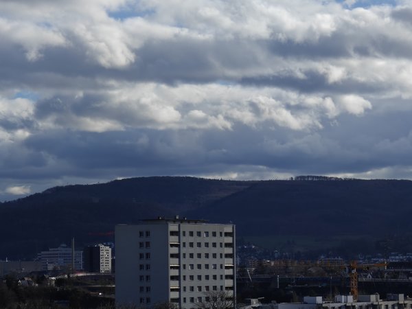 IMG20240103133150.jpg