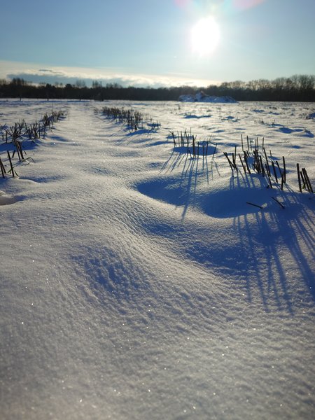 20240107_141805.JPG
