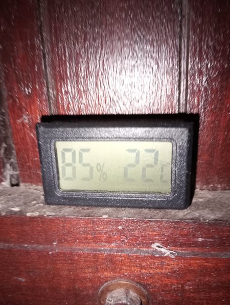 IMG_20240108_013007.jpg