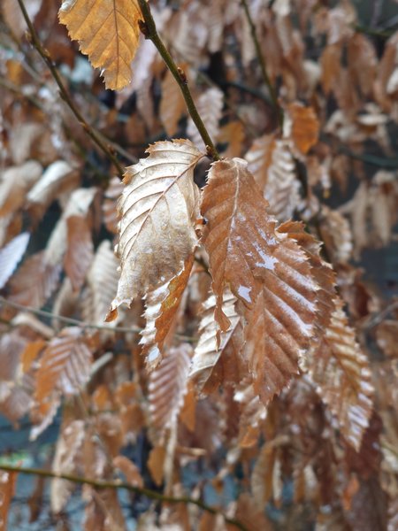 20240106_135844.JPG