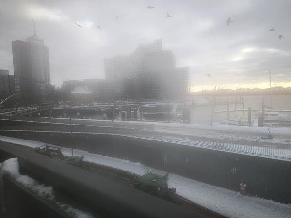 IMG_20240108_131618.jpg