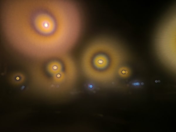 IMG_20240108_210630.jpg