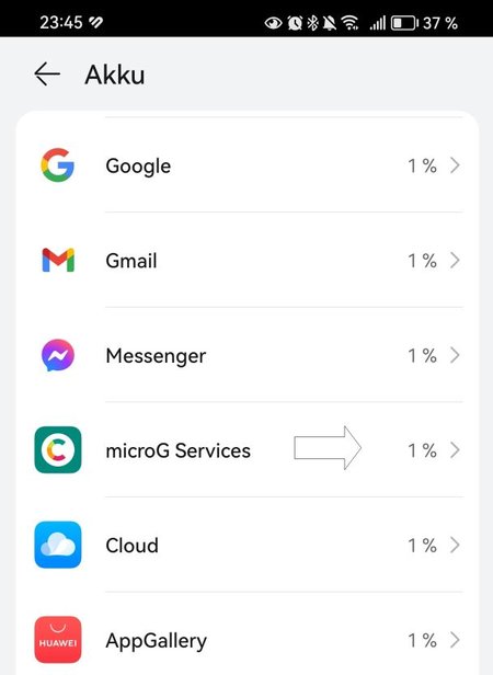 microG Services 1% Akku.jpg