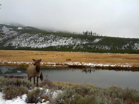 Yellowstone.jpg