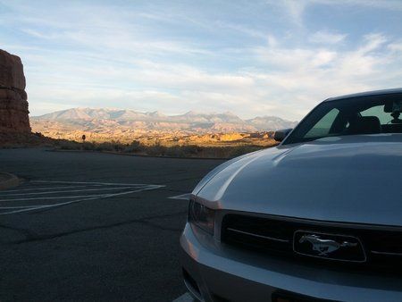 Mustang im Arches NP.jpg