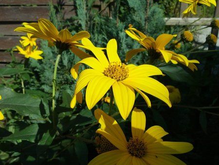 IMG_20120909_122514.jpg