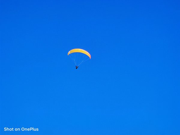 IMG_20240113_131619.jpg