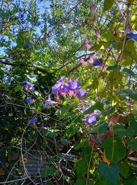 IMG_20240115_094636_HDR.jpg