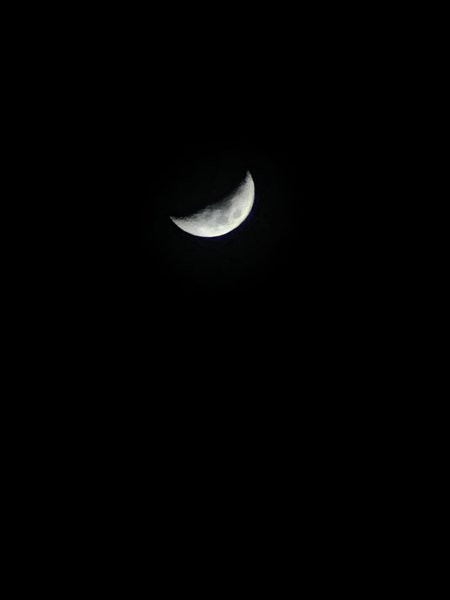 IMG_20240116_205651.jpg