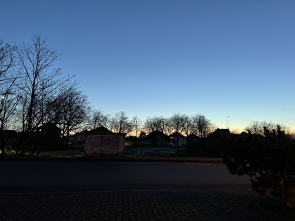IMG_3391.jpeg