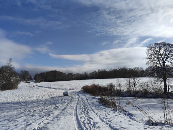 IMG_20240119_115052929_HDR.jpg