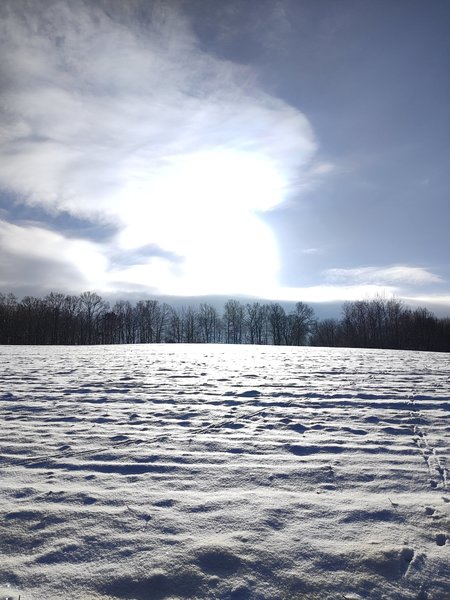 IMG_20240119_114830497_HDR.jpg