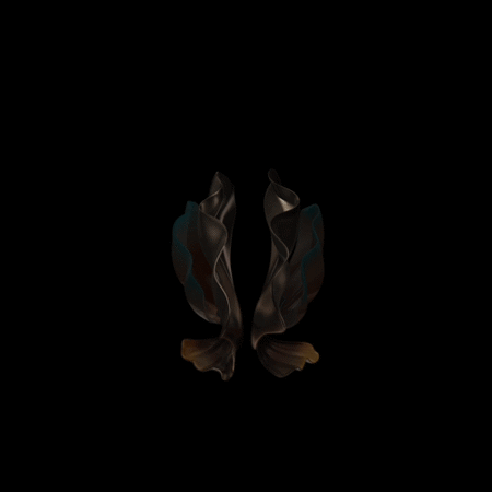 Samsung W24 5G_Video Wallpaper_1.gif