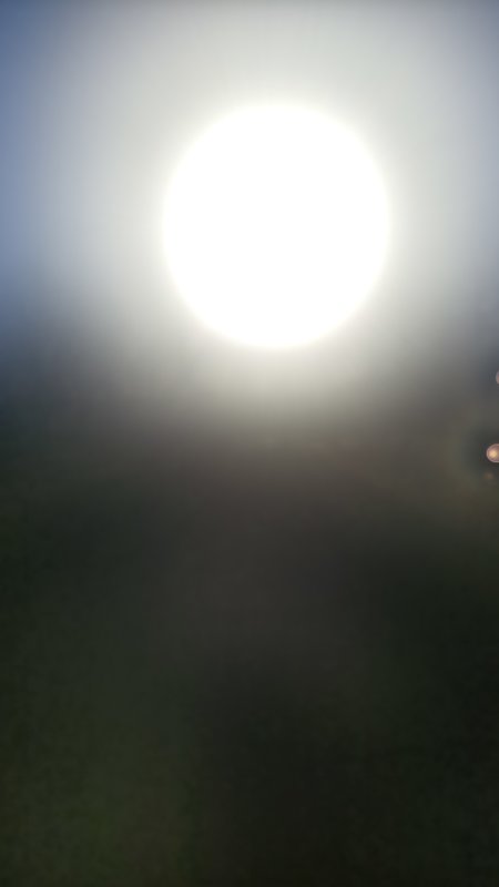 IMG_20240120_143145.jpg