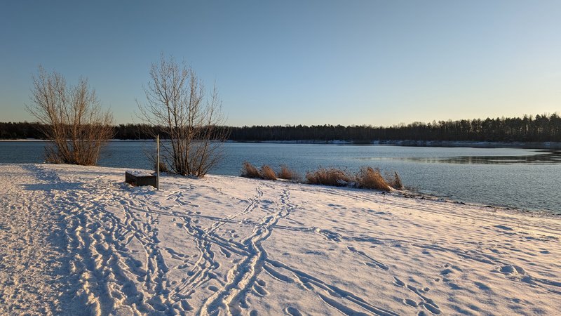 PXL_20240120_144921520.jpg