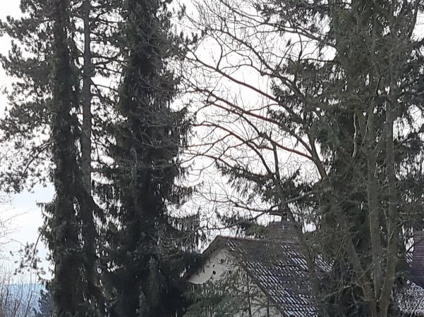 mit bild verbesserer s21 U.jpg