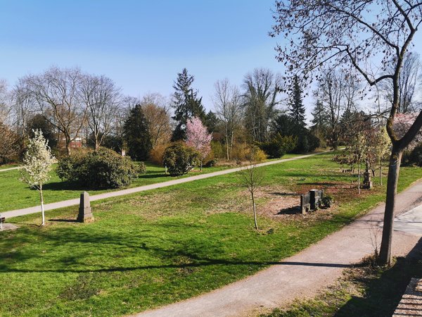 Foto_HuaweiP30Pro_Park.jpg