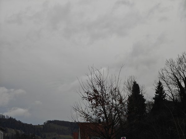 IMG20240123153758.jpg