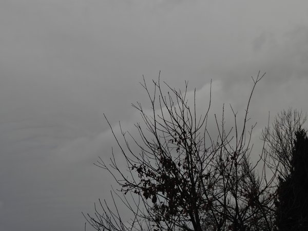 IMG20240123153803.jpg