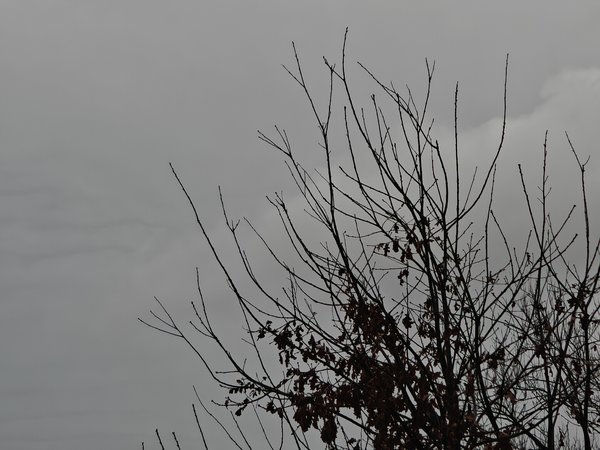 IMG20240123153813.jpg