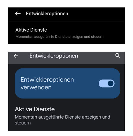 Aktive Dienste.jpg