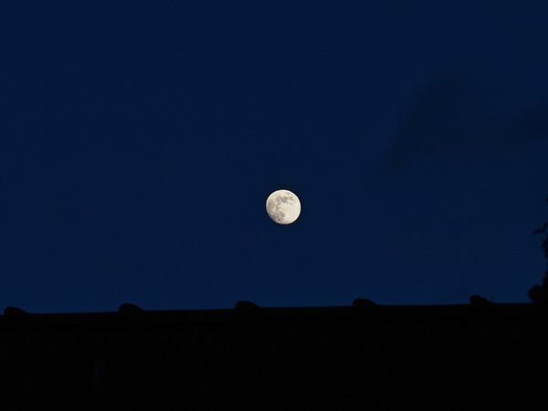 IMG_20240123_164030.jpg