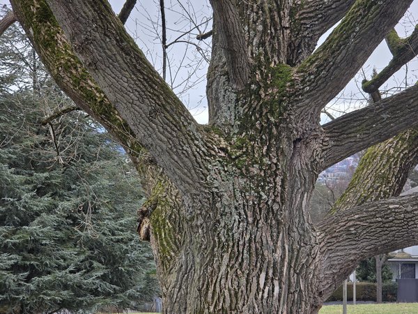 20240124_120335.jpg