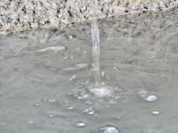 20240124_120300.jpg