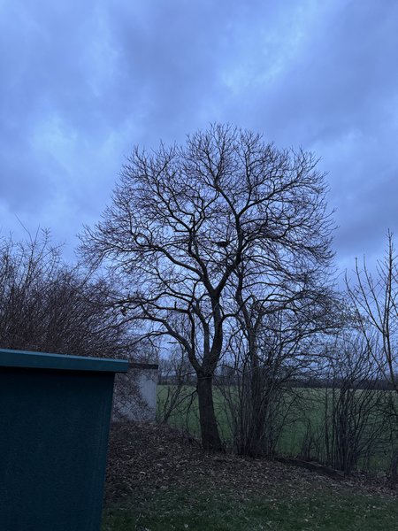 IMG_3624.jpeg