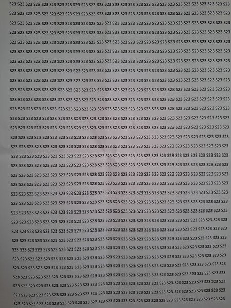 20240125_161114.jpg