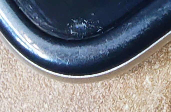IMG_20240126_073929553.jpg