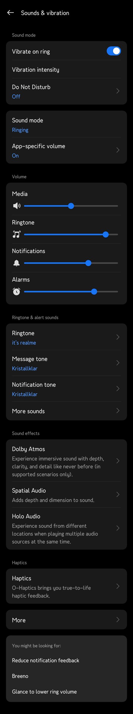 C.31 Audiosettings.jpg