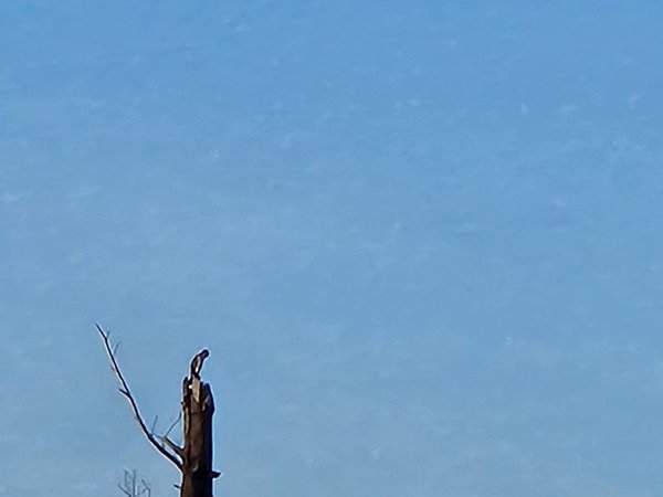20240127_151536.jpg