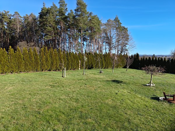 P_20240128_123530.jpg