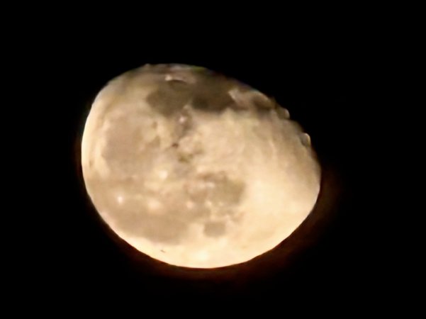 PXL_20240129_203600088~2.jpg