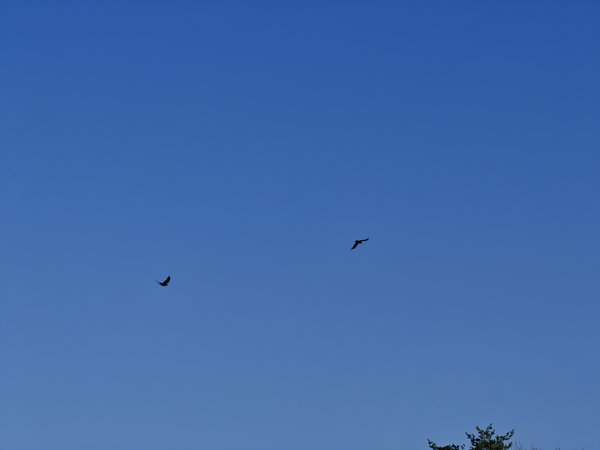 IMG20240131151015.jpg