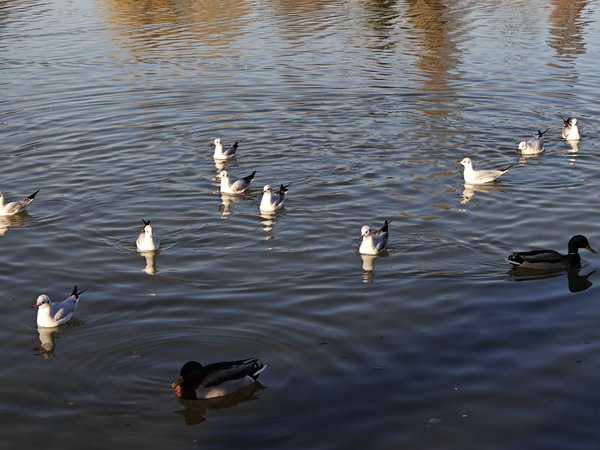 IMG20240131150512.jpg