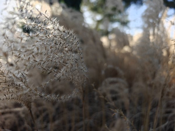 IMG20240131150320.jpg