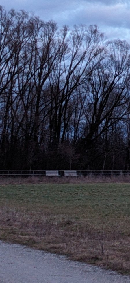 GCam_zoom.jpg