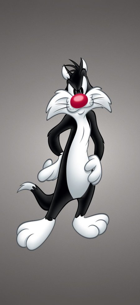 Looney Tunes.jpg