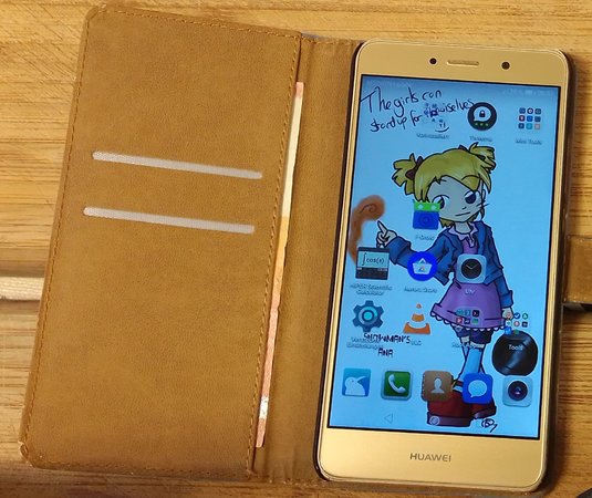 Phone_in_Flip_Cover.jpg
