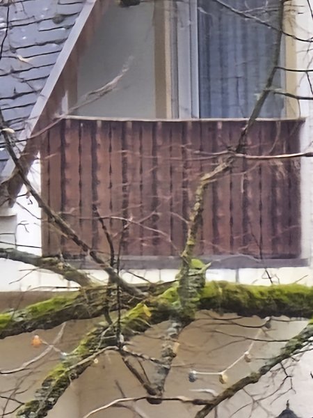12MP_60_fach_zoom.jpg