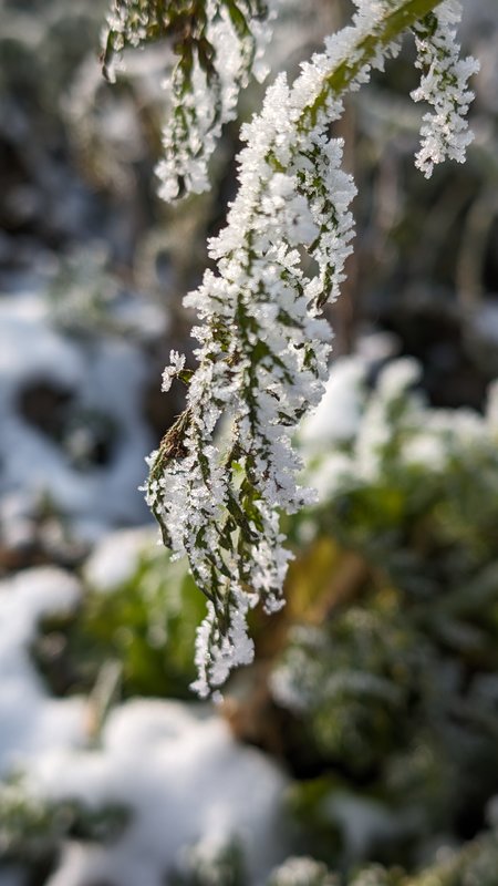 PXL_20240112_112102737.jpg