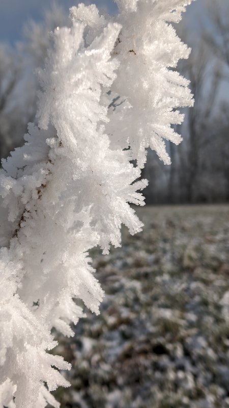 PXL_20240112_112351410.jpg