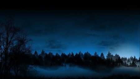dark-forest-fog-961487.jpg