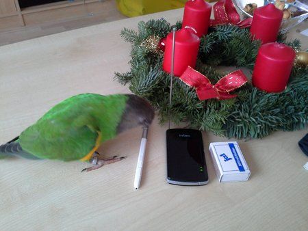 20121202_114604.jpg