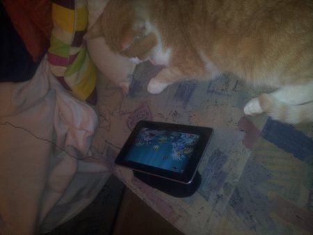CameraZOOM-20121203192921280.jpg