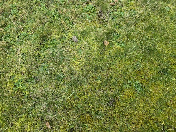 20240207_090654.jpg