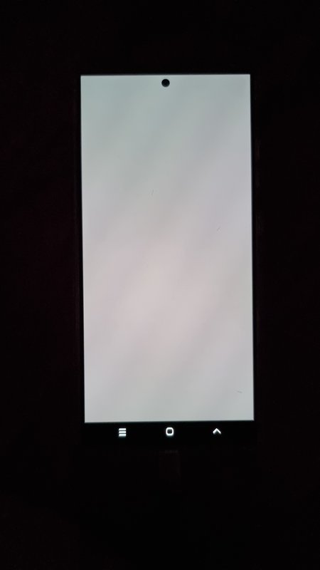 1000062050.jpg